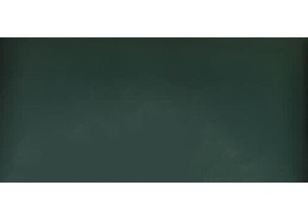 Mono Color Dark Green - سرامیک مونو کالر گرین دارک 60x120 - سرامیک راک اصفهان
