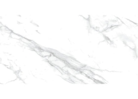 لورنتی Laurenti - سرامیک اسلب لورنتی 2602 مات 160x320- سرامیک اسلب مهسرام