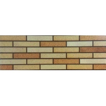 بیسموت Bismot - سرامیک بیسموت روشن 120*40 - کاشی آسیا  ASIA TILE