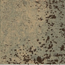 تیتانیوم بژ - سرامیک- شرکت کاشی گلدیس GOLDIS TILE
