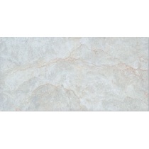 پاسارگاد Pasargad - سرامیک پاسارگاد طوسی روشن503- کاشی آسیا  ASIA TILE