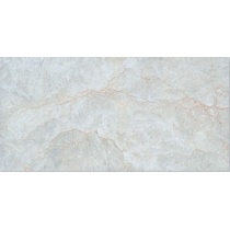 پاسارگاد Pasargad - سرامیک پاسارگاد طوسی روشن503- کاشی آسیا  ASIA TILE