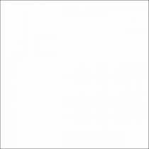 سفید ساده - سرامیک سفید ساده براق 6060 - شرکت کاشی پاسارگاد آباده