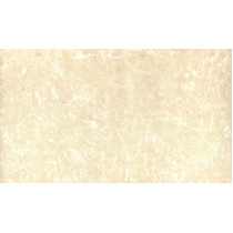 دهبید - سرامیک دهبید گلاسی 60*30 - کاشی آتوسا میبد ATOOSA TILE