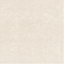 رجینا Regina - سرامیک رجینا پرسلان پولیش 8080 - کاشی زیماک Zimak Tile