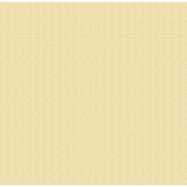 آیناز aynaz -سرامیک آیناز کرم2525 - شرکت کاشی عقیق 