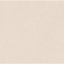 آلبو Albo - سرامیک آلبو بژ مات 60x60 - کرابن تبریز 