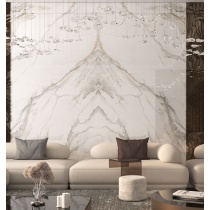 عرباسکاتو Arabscato- سرامیک اسلب بوک مچ عربسکاتو بژ پولیش مدل کارشده 120x240- کاشی هرمس سرام نوین