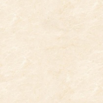 arena_430146998