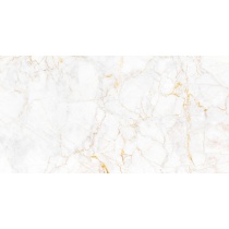 آتیکا Atika - سرامیک آتیکا سفید نانو پولیش 60x120 - کاشی بیستون