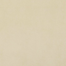 babel-beige-30x30