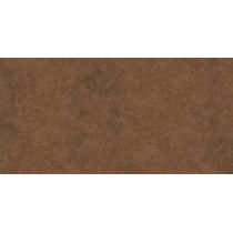 Barisa Brown - سرامیک باریسا قهوه ای مات 60x120 - سرامیک بسلی Besli