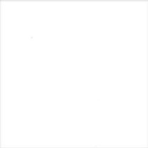 برلین Berlin - سرامیک برلین سفید مات 15x15 - سرامیک جگوار Jaguar