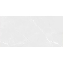 بلونیا Blonia - سرامیک بلونیا ساده براق 60x120 - کاشی مارلیک Marlik Tile