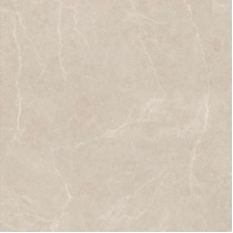 کارولینا Carolina - سرامیک کارولینا کارامل مات 100x100 - کاشی سرام نگار Ceram Negar