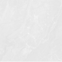  Coral Stone Light Gray - سرامیک کورال استون طوسی روشن پولیش 100x100 - سرامیک راک