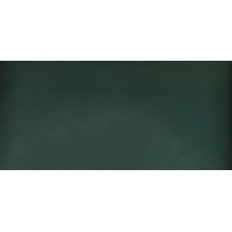 Mono Color Dark Green - سرامیک مونو کالر گرین دارک 60x120 - سرامیک راک اصفهان