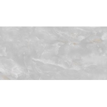 Delfina Light Gray - سرامیک دلفینا طوسی روشن پولیش 80x160 - سرامیک بسلی Besli