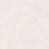 دراهو Deraho - سرامیک دراهو استخوانی پولیش 100x100 -سرامیک SWT