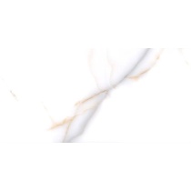 Donica White - سرامیک دونیکا سفید پولیش 60x120 - سرامیک بسلی Besli
