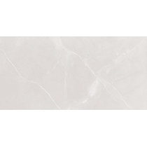 Ebony Light Gray - سرامیک ابونی طوسی روشن پولیش 80x160 - سرامیک بسلی Besli