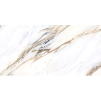 گلدن آرت Golden Art 160152- سرامیک اسلب گلدن آرت پولیش 80x160 - سرامیک اسلب مهسرام