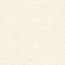ویستا Vista - سرامیک ویستا 6060 - کاشی ارگ میبد ARG MEYBOD TILE