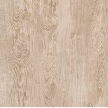 وود Wood - سرامیک وود مات 6060 - کاشی نفیس NAFIS TILE
