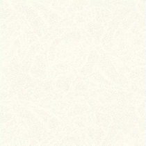 مودنا Modena- سرامیک مودنا سفید 2525 - کاشی زیماک Zimak Tile