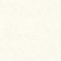 مودنا Modena- سرامیک مودنا سفید 2525 - کاشی زیماک Zimak Tile