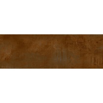 lidz-bronze-25x75