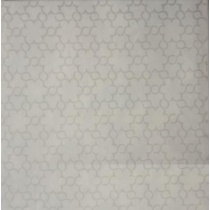 ماتریکا Matrika - سرامیک ماتریکا زمینه 25*25 - کاشی آسیا  ASIA TILE