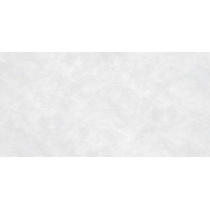 ناپل Naple - سرامیک ناپل کرم مات 60x120 - کاشی سرام نگار Ceram Negar