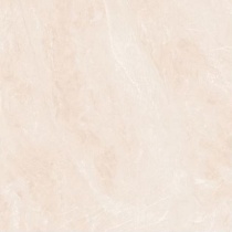 نیتل Nitel - سرامیک نیتل استخوانی مات 40x40 -سرامیک SWT