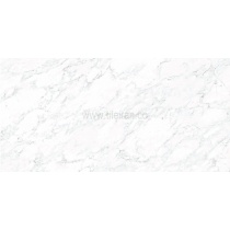 palazzo_silver_slab