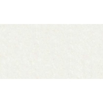 رخشا - سرامیک رخشا طوسی60*30 -کاشی صدرا سرام میبدSADRA CERAM