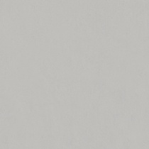 Pristine Light Grey 4300 - سرامیک اسلب پریستین طوسی روشن مات 100x100 - اسلب ورونزو Veronzo