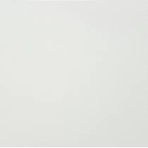 راین - سرامیک راین سفید 2525 - شرکت کاشی پرسپولیس persepolis tile