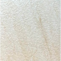 رامان Raman - سرامیک رامان کرم رستیک 45x45 - آپادانا سرام