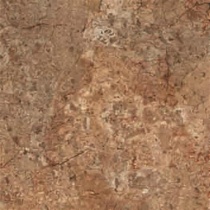 ریکاردو Ricardo - سرامیک ریکاردو کرم تیره مات 30x30 - سینا کاشی