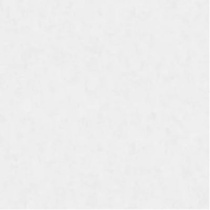 سالیوا Saliva - سرامیک سالیوا مات 100x100 - شرکت صبا کاشی