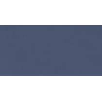 salsa-blue