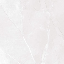 ساسان Sasan - سرامیک ساسان طوسی براق 60x60 - کاشی سرام نگار Ceram Negar