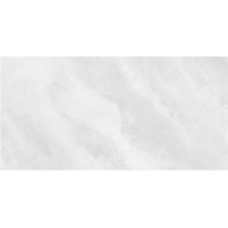 Sauvage Light Gray - سرامیک ساوج طوسی روشن پولیش 60120 - کاشی تکسرام