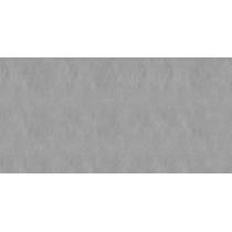 seattlegray