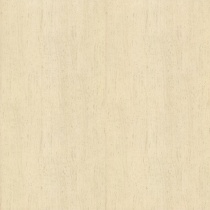 travertine_crema_polished