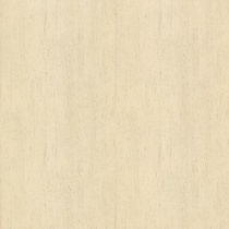 travertine_crema_polished