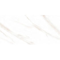 venis_120120