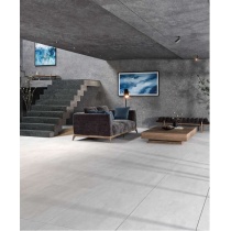 Vista Light Gray - سرامیک ویستا طوسی روشن مات مدل کارشده 60120 - کاشی تکسرام