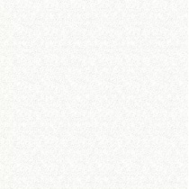 white_1445866486